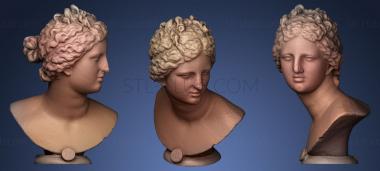 3D model Venus de Medici (STL)